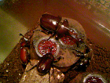 20080802-1.bmp