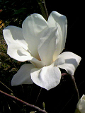 20080326-2.bmp