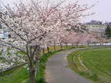 20080402-1.bmp