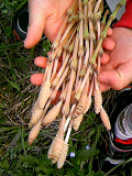 20080404-1.bmp