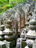 20080427-1.bmp