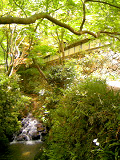 20080427-2.bmp