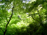 20080427-3.bmp