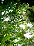 20080427-4.bmp