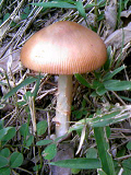 20080721-2.bmp