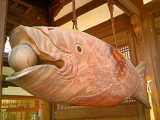 20080801-1.bmp