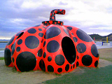 20081224-2.bmp