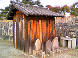 20090113-1.bmp