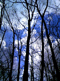 20090115-1.bmp
