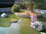 20090202-1.bmp