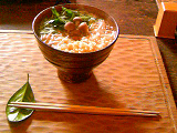 20090219-2.bmp