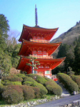 20090414-1.bmp