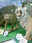 20090416-1.bmp
