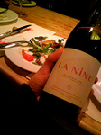 20090418-3.bmp