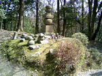 20090429-1.bmp