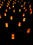 20090813-1.bmp