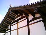 20100219-1.bmp