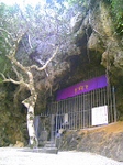 20100305-1.bmp