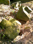 20100325-1.bmp