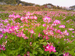 20100420-1.bmp
