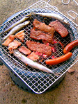 20100510-1.bmp