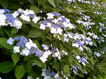 20100617-1.bmp