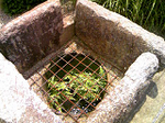 20100712-1.bmp