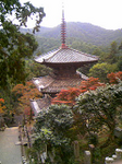 20101112-1.bmp