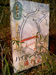 20110124-1.bmp