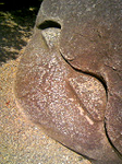 20110407-1.bmp