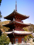 20110417-2.bmp