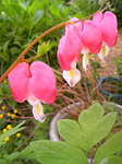 20110516-1.bmp