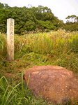 20111017-1.bmp