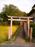 20111103-1.bmp