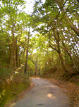 20111114-1.bmp