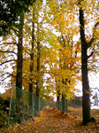 20111120-1.bmp