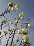20120401-1.bmp