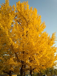 20121115-1.bmp