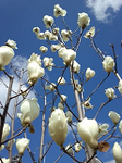 20130321-1.bmp