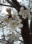 20130331-1.bmp