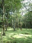 20130418-1.bmp