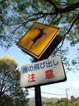 20130501-1.bmp