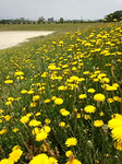 20130523-1.bmp