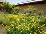 20130524-1.bmp