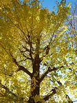 20131203-1.bmp