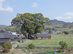 20140529-1.bmp