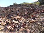 20141116-1.bmp