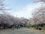 20150310-1.bmp