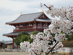 20150312-1.bmp