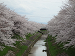 20150316-1.bmp